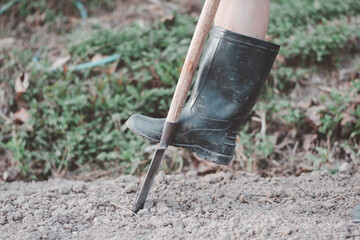 Closeup shot of leg wear the boots dig the soil prepare for plant vegetable, home organic agriculture garden and flesh food concept copy space for text and design
