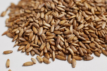 Milk thistle seeds Scottish thistle, Mariana thistle on a white background. A bunch of Medicinal seeds