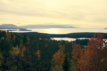 Forest lake surrounded by autumn foliage at sunset.