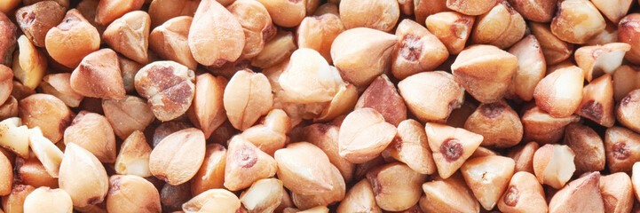 Panoramic header Web banner dry buckwheat background texture.