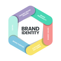 Brand identity infographic vector is digital marketing concept in 6 elements to distinguish the brand in consumers' minds such as brand personality, sharped values, customer self-image, purpose, value