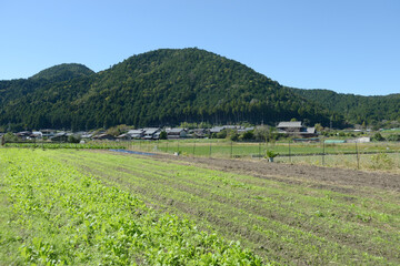 京都大原　京都市左京区大原