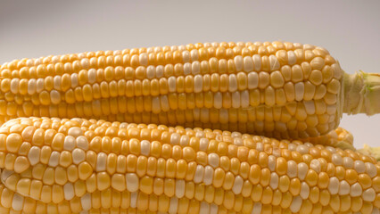 Yellow corn isolated on white background. Copyspace.