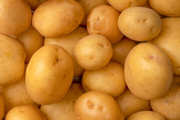 A group of fresh tasty potato as  background.