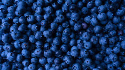 Fresh blueberry background. Texture blueberry berries close up.