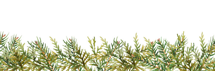 Watercolor christmas frame with evergreen branches of spruce and thuja