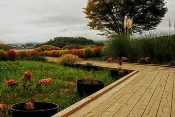 garden in the garden