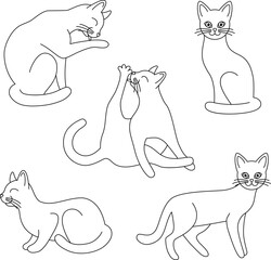 Fototapeta na wymiar Set black outline cats. Isolated black line lying, standing, sitting, washing cats on white background. Page of coloring book.