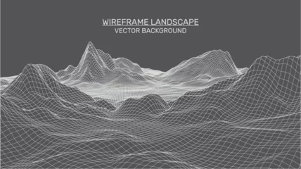 Keuken achterwand Grijs Abstract landscape background. Mesh structure. Polygonal wireframe background. 3d technology vector illustration    © slyvchuk