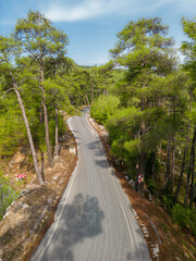 Top down view of road through forest at sunrise