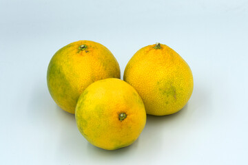 Three fruits of Okitsu mandarin variety