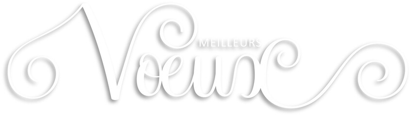 Bannière calligraphique blanche MEILLEURS VOEUX sur fond transparent