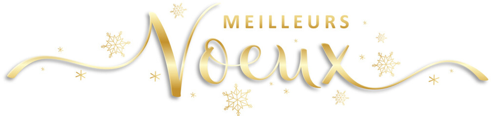 Bannière calligraphique dorée MEILLEURS VOEUX avec flocons de neige sur fond transparent