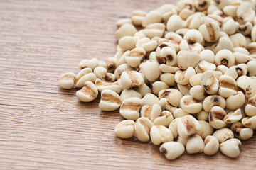 Jobs tear seed or coix millet seed grain on wooden table kitchen background. heap of Jobs tear or coix millet seed grain. Jobs tear or millet coix seed                       