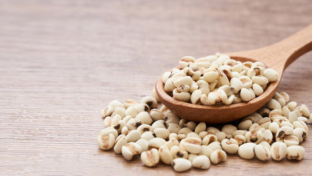 Jobs tear seed or coix millet seed grain in wood spoon on wooden table kitchen background. heap of Jobs tear or coix millet seed grain. Jobs tear or millet coix seed                        