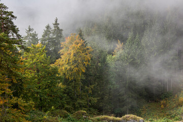 Fototapeta na wymiar Lechtal - die Alpen im Herbst