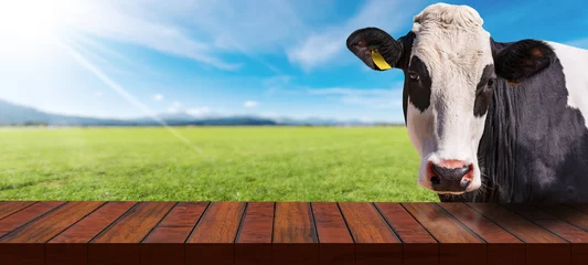 Möbelaufkleber Close-up of an empty wooden table and a white and black dairy cow (heifer) looking at the camera, on a countryside landscape with sunbeams. Template for dairy products. © Alberto Masnovo