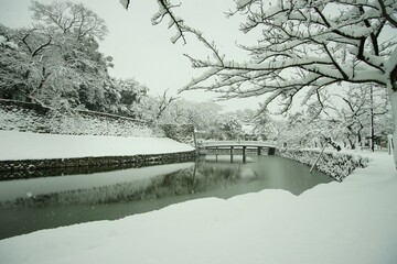 雪の彦根城