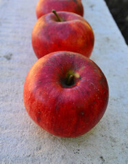 Row of red apples on white stone background
