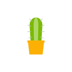 Cactus plant icon in color, isolated on white background 