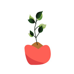Potted Plant Decoration