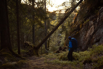 Obraz premium A hiker with a large backpack stands in a lush, mossy coniferous forest during golden hour, looking toward the sunset through dense trees and rocky cliffs. Perfect for adventure and nature themes.