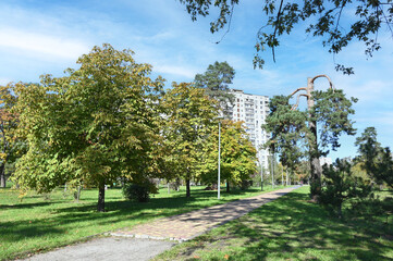 Path in the park of the city of Kyiv