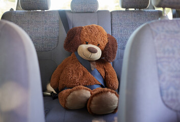 Teddy bear, seatbelt and safety on the back seat of a car while on a road trip, journey and travel with transport, insurance and vehicle. Passenger, protect and safe driving with a stuffed animal toy