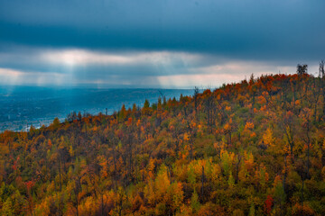 A stroll through the Zhigulyovo Mountains on an October day!