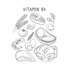 Vitamin B4 Choline. Groups of healthy products containing vitamins. Set of fruits, vegetables, meats, fish and dairy.