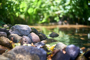 Fototapeta na wymiar Stones on bank of creek stream with clear transparent bubbling water selective focus with green coastal grass sedge out of focus background with copyspace.