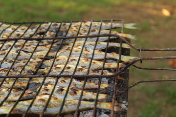 Small bluefish on a charcoal grill. Nice winter cooking idea