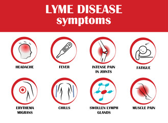 Lyme disease symptoms, Vector icon with symptoms