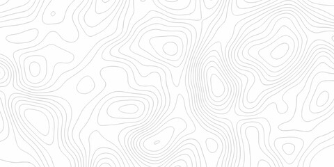 Topographic patter line map background. silver line topography maount map contour background, geographic grid. Abstract vector illustration.	
