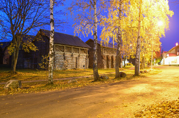 Autumn in the village