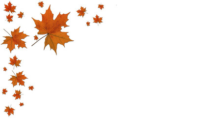 Autumn leaves on transparent background for cards, websites and decor - 3D Illustration
