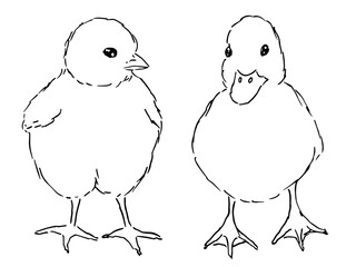 Cute silhouette duckling and chick in flat style vector illustration black liner isolated on white background. Domestic bird, poultry