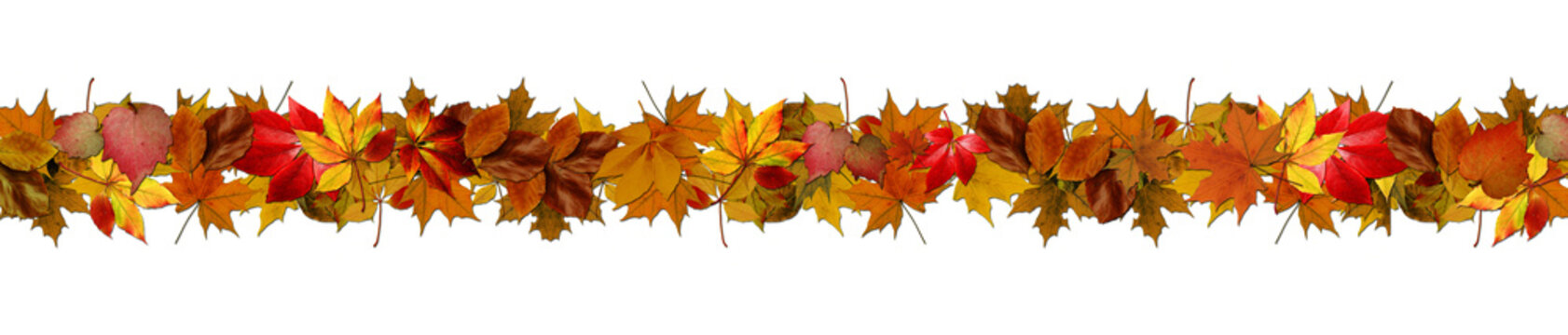 Autumn banner from colorful leaves on transparent background for websites and decor - 3D Illustration
