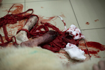 Dog blood. Wounded pet paw. Lot of blood in animal. Injured animal in hospital.