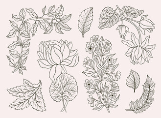 Collection vintage floral motif. William Moriss style art and craft movement. Design outline flower symbol.