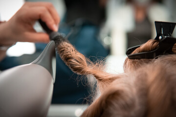 pettinatura dei capelli