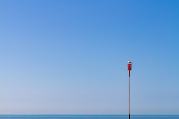 Seagull perched on top of red and white pole with blue sky and strip of blue sea