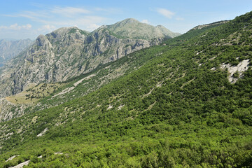 Mountain landscape in the Lovcen National Park. Montenegro