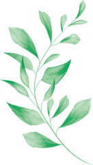 Watercolor Green Leaf For Wedding Decoration