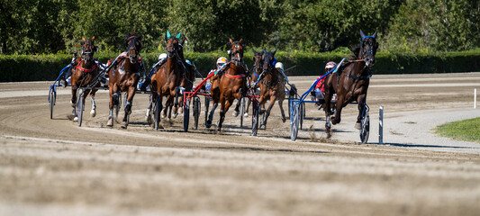 Racing horses trots and rider on a track of stadium. Competitions for trotting horse racing. Horses compete in harness racing on a sunny day. Horse runing at the track with rider. 
 - obrazy, fototapety, plakaty