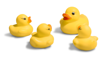 Yellow rubber ducks isolated on white