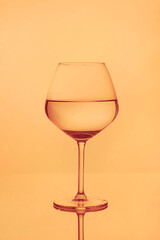 glass of white wine. on the orange background. closeup
