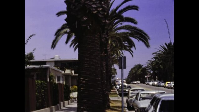 United States 1977, Palms in Los Angeles street