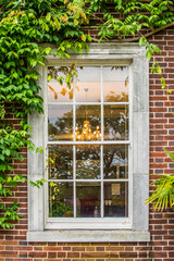Fototapeta na wymiar window with ivy in brick wall
