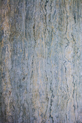 Marble Texture